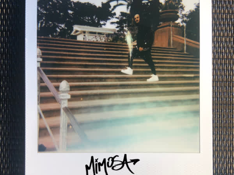 Steady Steppa (Single)