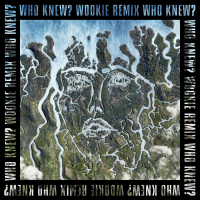 Who Knew? (Wookie Remix) (Single)