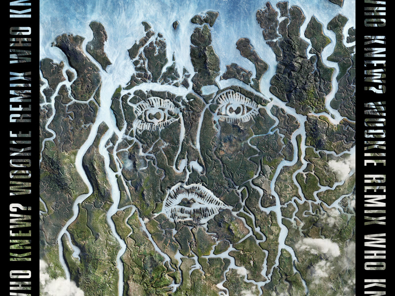 Who Knew? (Wookie Remix) (Single)