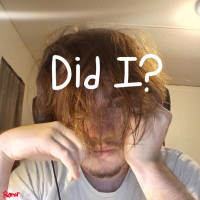 Did I? (Single)