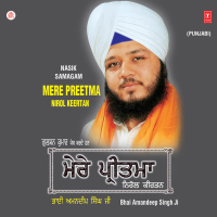 Mere Preetma-Nirol Keertan-Nasik Samagam Vol-69 (Single)