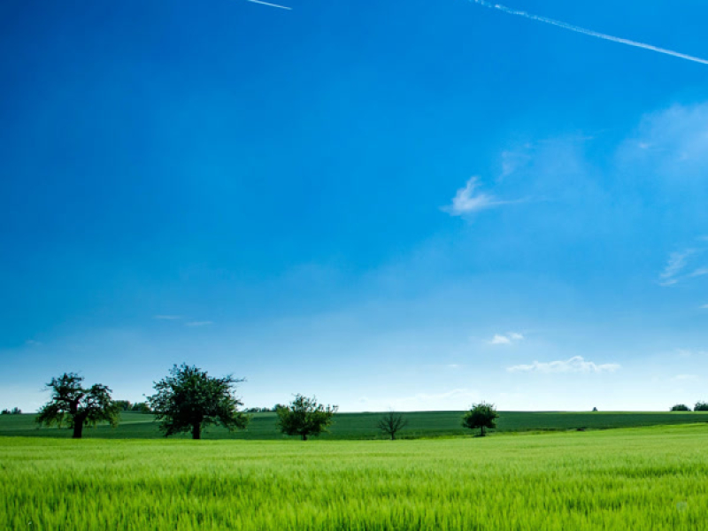 Biarkan waktu (Single)