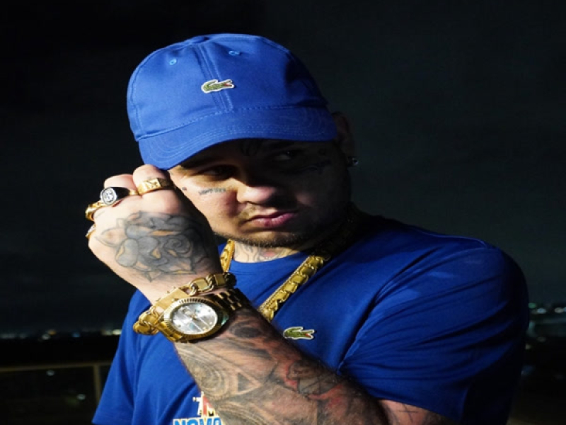 Elas gosta muito (Single)