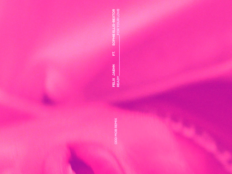 Ready For Your Love (Odd Mob Remix) (Single)