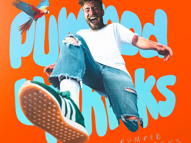 Pumped Up Kicks (Single)