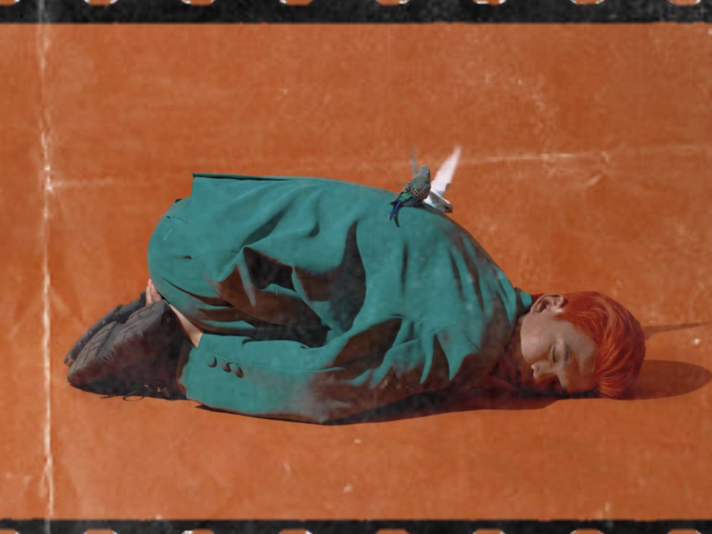 don't you say goodbye (Single)