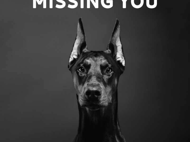Missing You (Single)