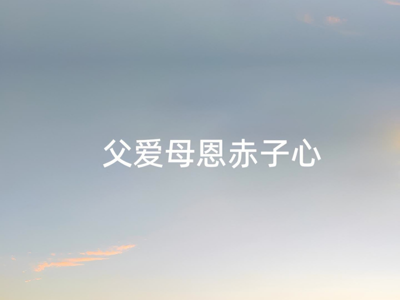 父爱母恩赤子心 (Single)