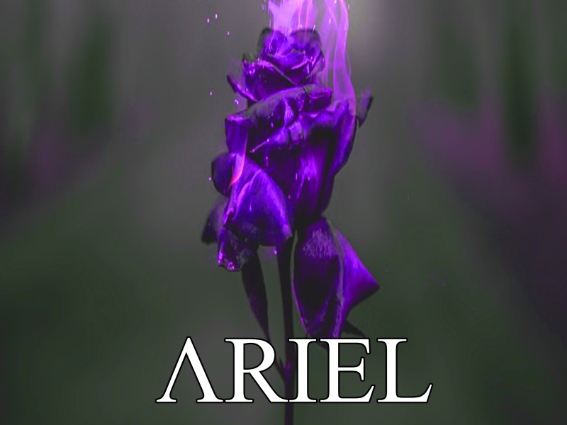 Where the Roses Burn II