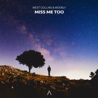 Miss Me Too (Single)