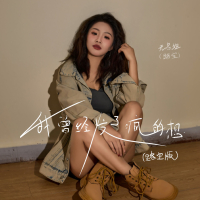 我曾经发了疯的想 (路宝版) (Single)