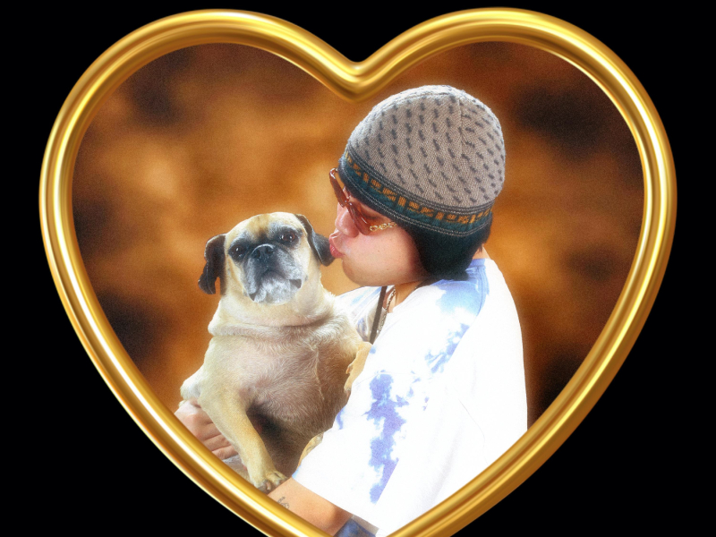 Love Is Great! (Single)