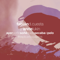 Ayer por fin sonẽ́ que te secaba el pelo - Explicar los pájaros (Single)