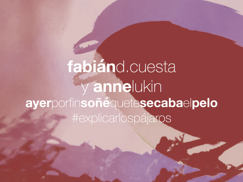 Ayer por fin sonẽ́ que te secaba el pelo - Explicar los pájaros (Single)