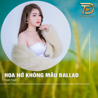 Hoa Nở Không Màu (Ballad) (Single)