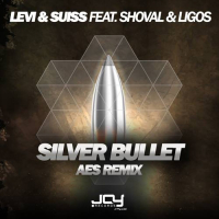 Silver Bullet (AES Remix) (Single)