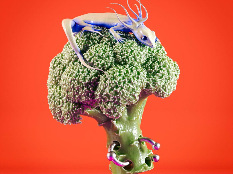 Back To The Groove (Single)