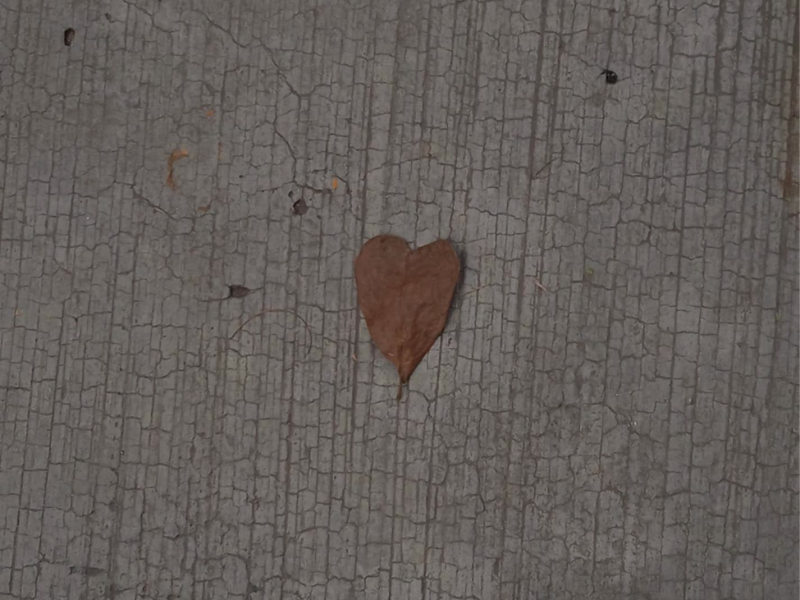 Otro Otoño (Single)