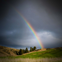 Feel Calm and Relieve Anxiety with After Rain Nature Sounds (Single)