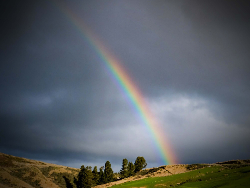 Feel Calm and Relieve Anxiety with After Rain Nature Sounds (Single)