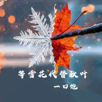 等雪花代替秋叶 (Single)