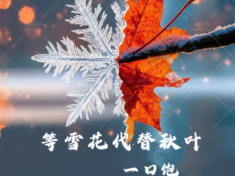 等雪花代替秋叶 (Single)