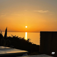 69 W PANAME (Special Version) (Single)