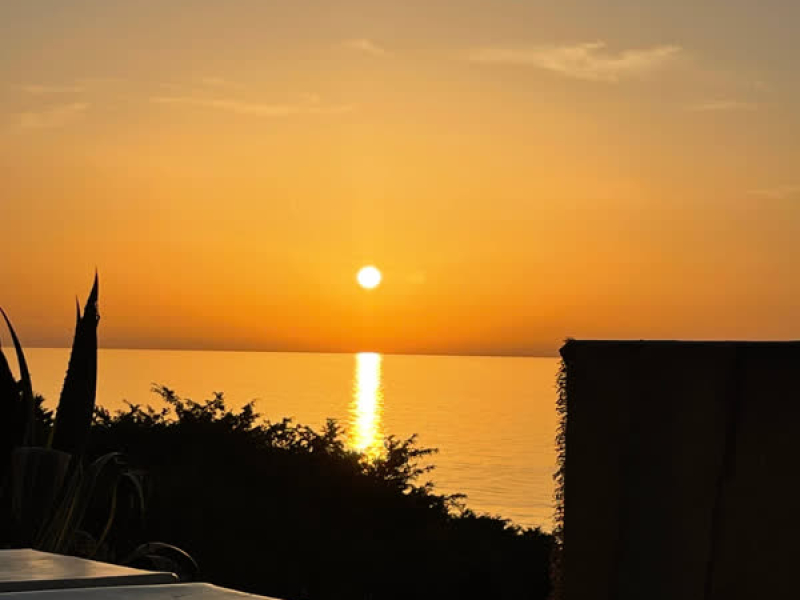 69 W PANAME (Special Version) (Single)