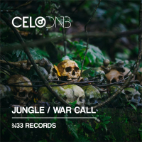 Jungle / War Call (Single)