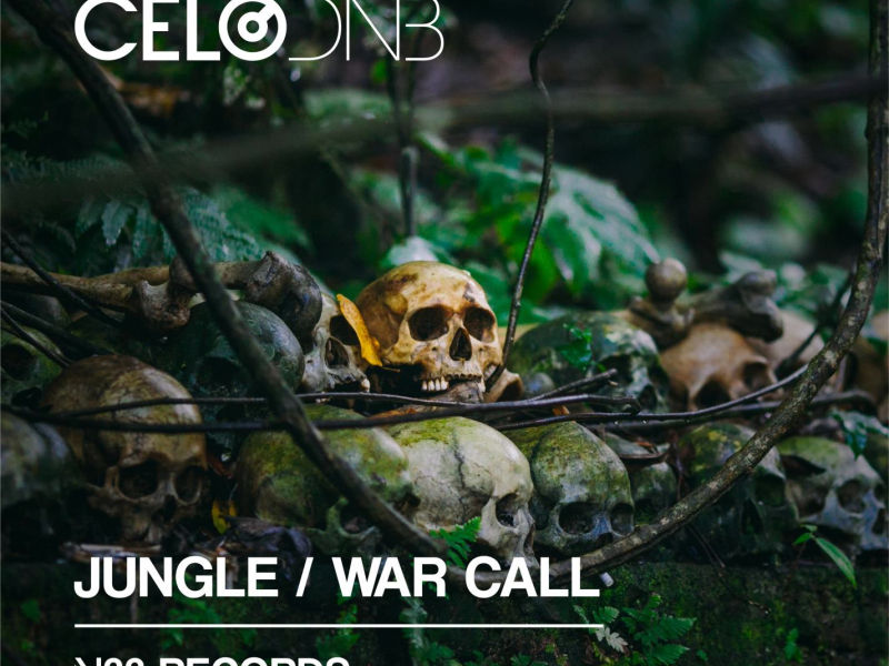 Jungle / War Call (Single)