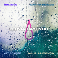 LLUVIA CAYENDO (Single)