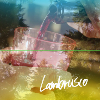 Lambrusco (Single)