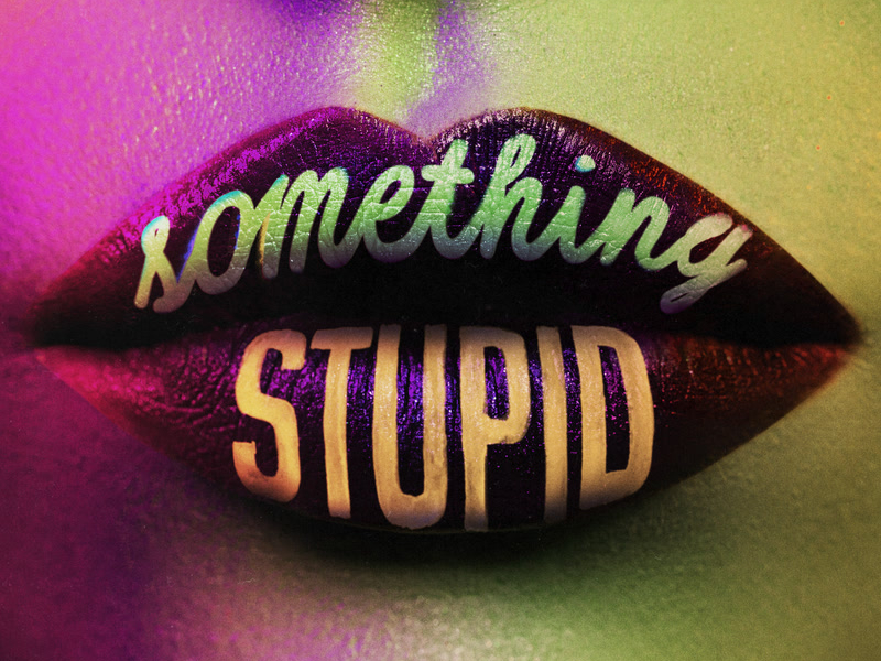 Something Stupid (KC Lights Remix) (Single)