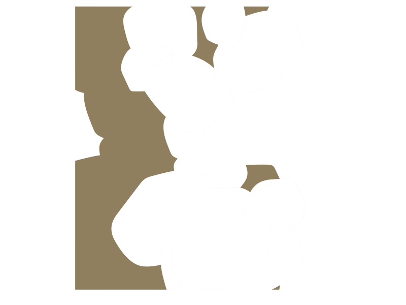 Snow Catches on Her Eyelashes