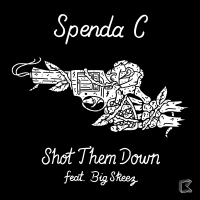 Shot Them Down (Steve Hart Remix) (Single)