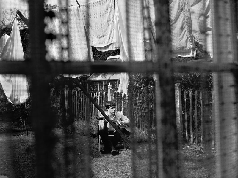 Chaos And Creation In The Backyard