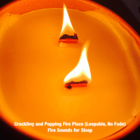 Crackling and Popping Fire Place (Single)