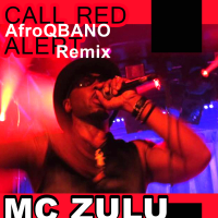 Call Red Alert (AfroQBANO Remix) (Single)