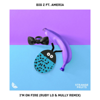 I'm On Fire (feat. Ameria) [Ruby LO & Mully Remix] (Single)