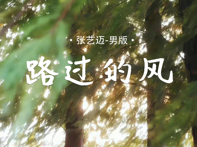 路过的风 (Single)