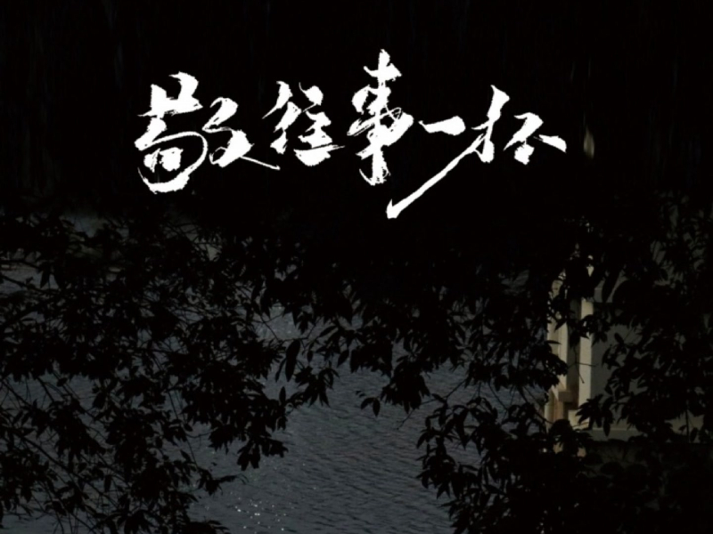 敬往事一杯(白头若是雪可替世间何来负心人) (Single)