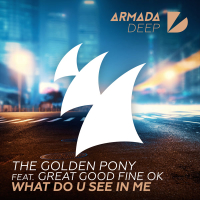 What Do U See In Me (Single)