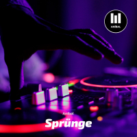 Sprünge (Single)