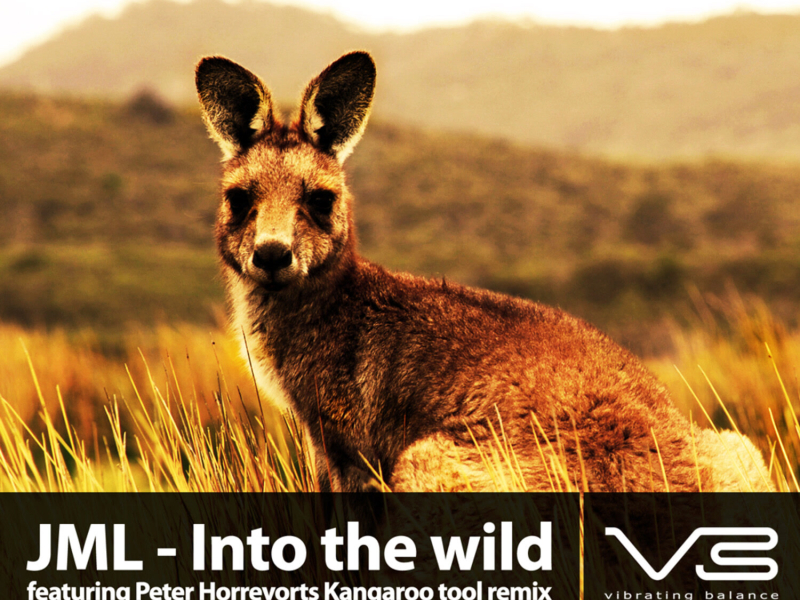 Into the Wild (Peter Horrevorts rework) (EP)