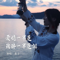 爱情一半是陶醉一半是泪 (Single)
