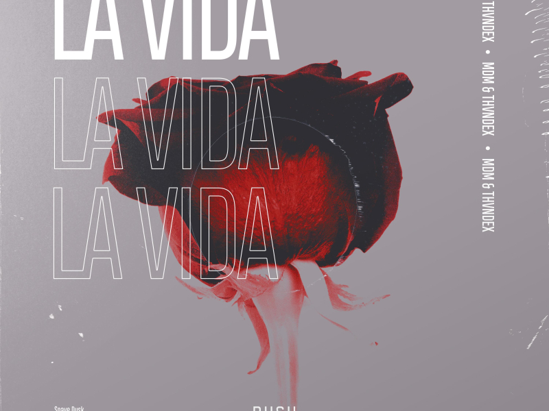 La Vida (Single)