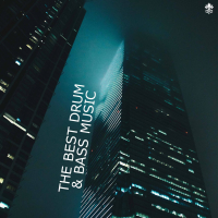The Best Drum & Bass Music (Single)