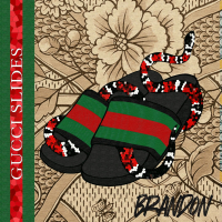 Gucci Slides (Single)