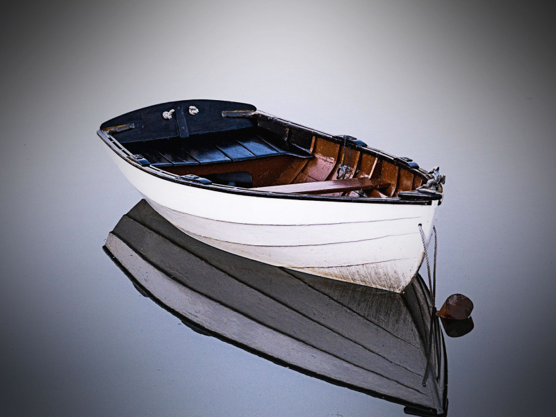 Chill and Feel Calm with Rowing Boat in Lake Sound (Single)