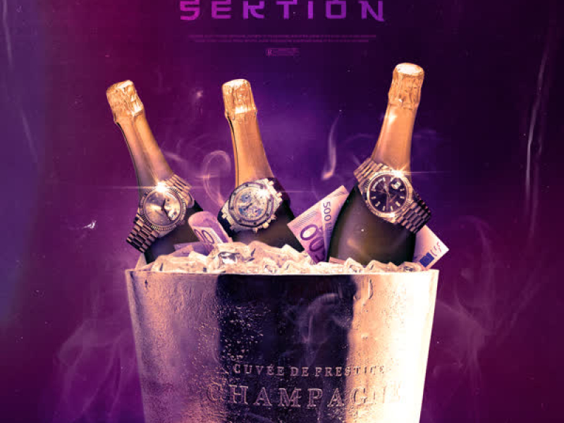 Sektion (Single)